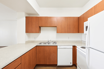 White kitchen appliances